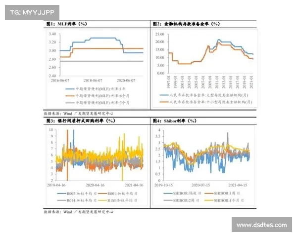 如何全面评估卢库米的潜力与市场价值分析方法